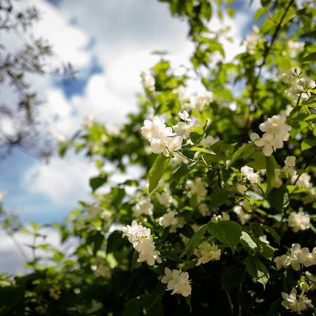 Il Giardino Bed & Breakfast Pimonte Bagian luar foto
