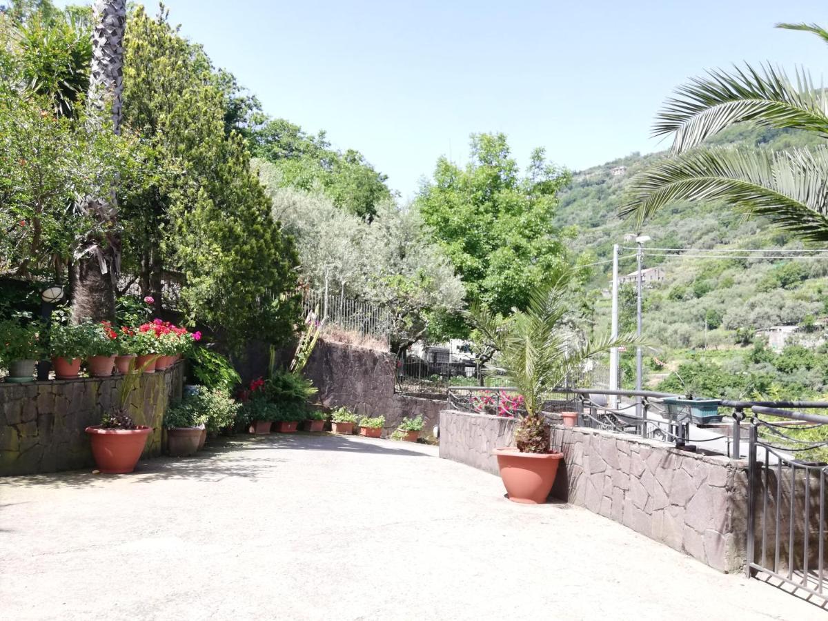 Il Giardino Bed & Breakfast Pimonte Bagian luar foto