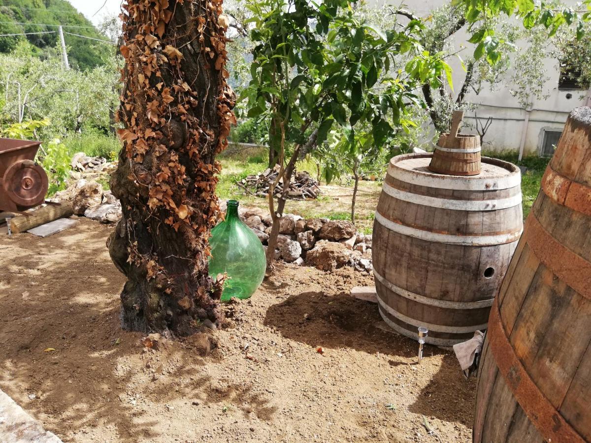 Il Giardino Bed & Breakfast Pimonte Bagian luar foto