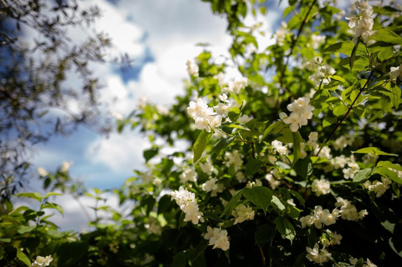 Il Giardino Bed & Breakfast Pimonte Bagian luar foto