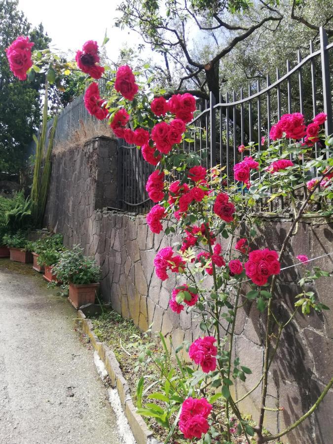 Il Giardino Bed & Breakfast Pimonte Bagian luar foto